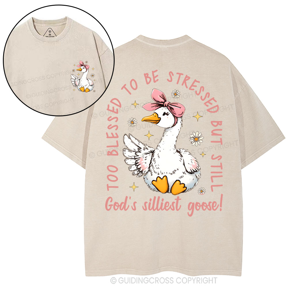 God's Silliest Goose Christian Washed T-Shirt