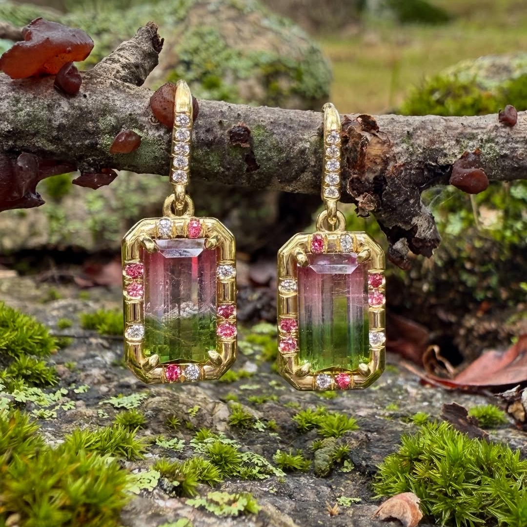 Watermelon Tourmaline Golden Color Earrings