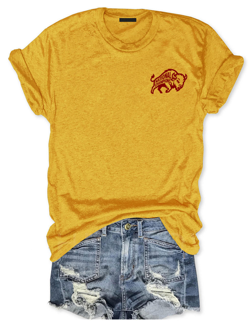 Indiana Football Champions 2025 Funny T-shirt