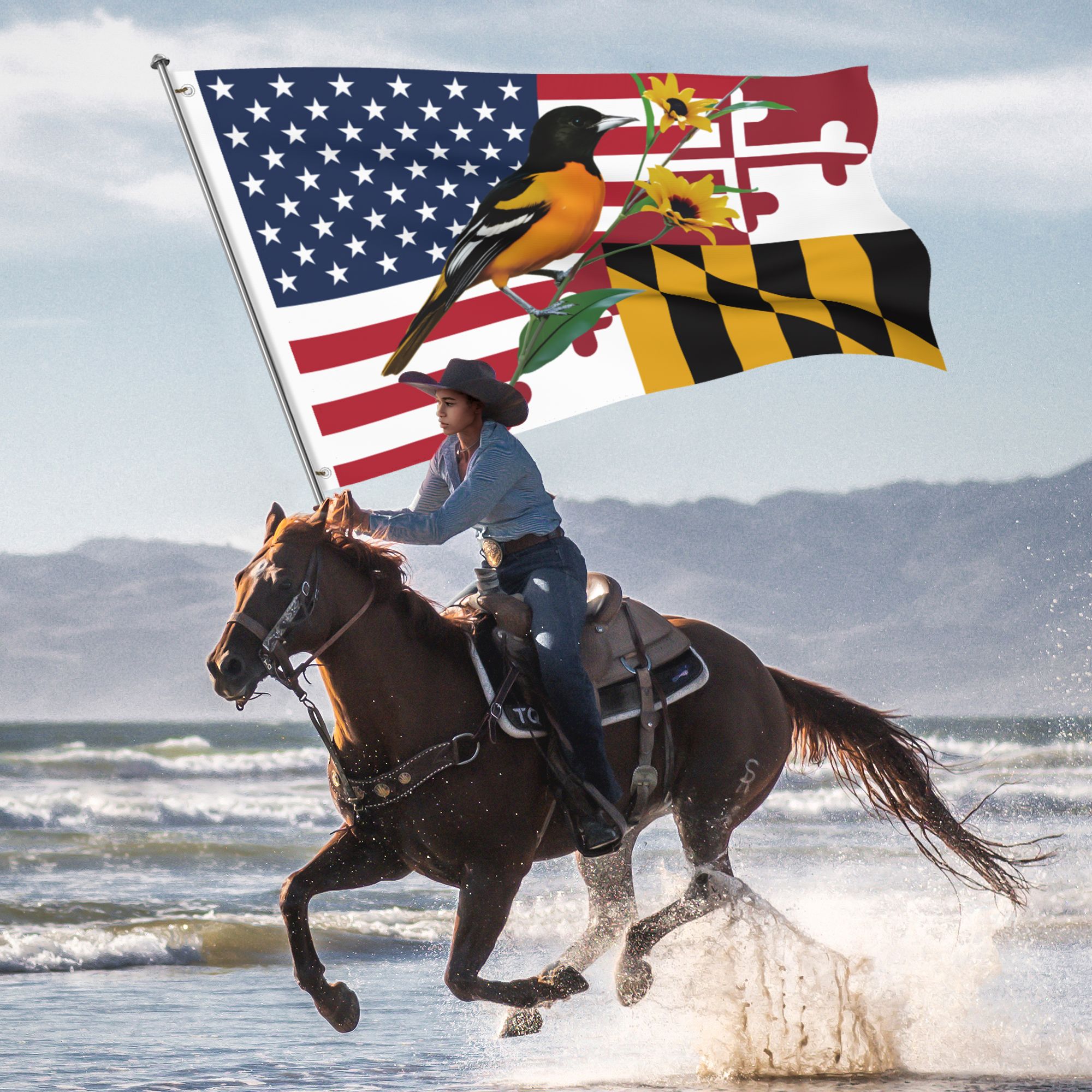 Maryland Grommet Flag Baltimore Oriole And Black-eyed Susan American Flag MDBOBES