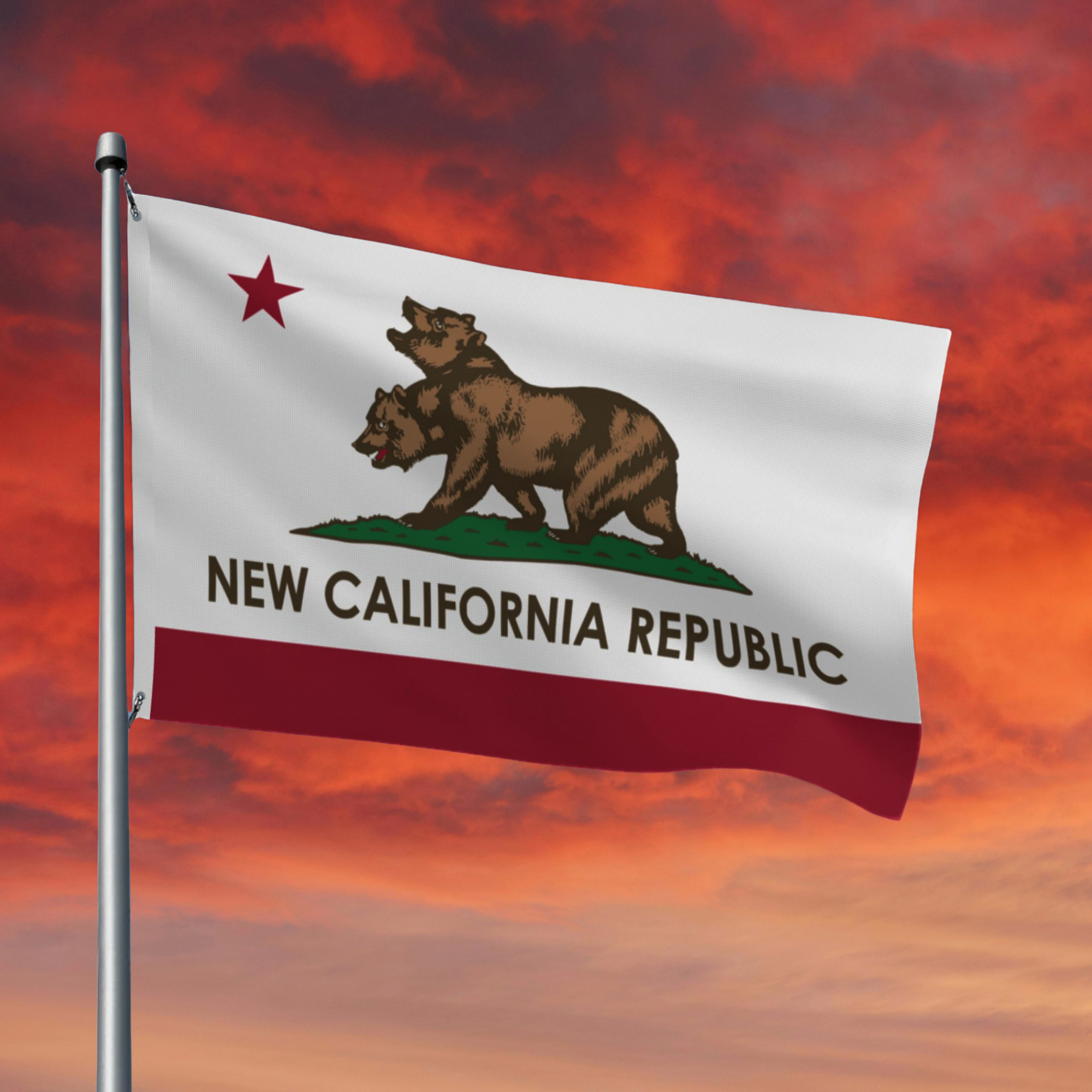New California Republic Flag Fallout NCR Flag - For The Republic