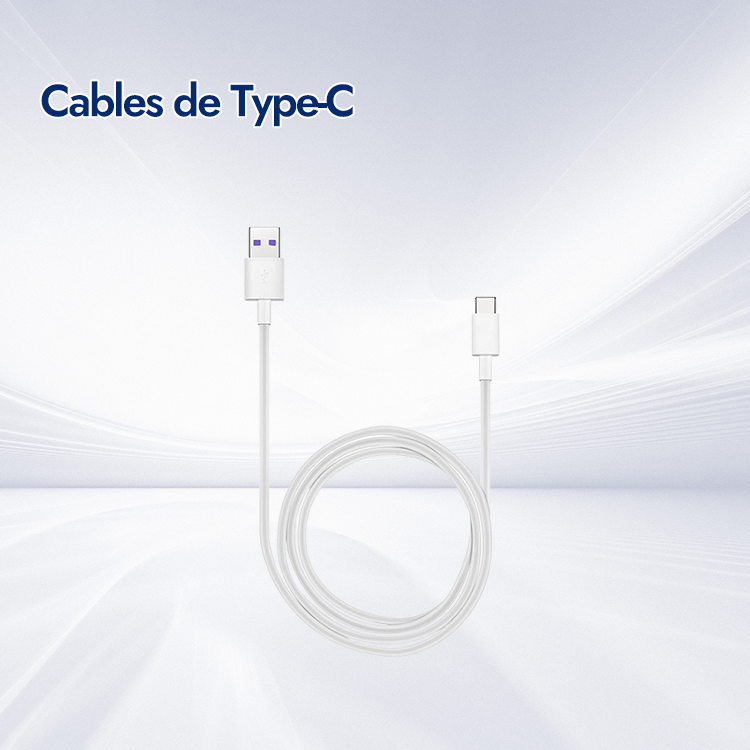 Cables de Type-C  66W 