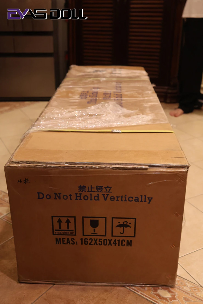 Evas Doll | DIY Your Girlfriend Series - Bespoke Custom Silicone Sex Doll