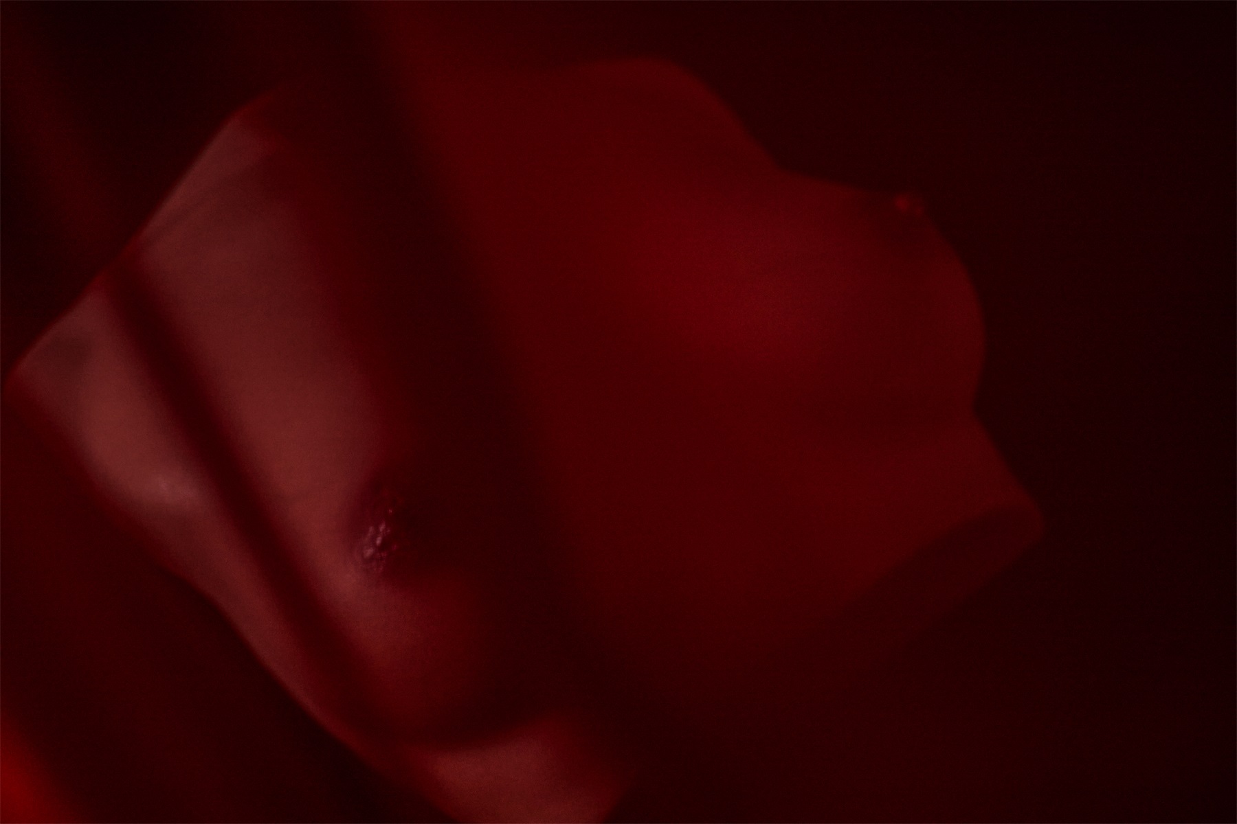 Climax丨Silicone B-61 (Black)  Breast Model