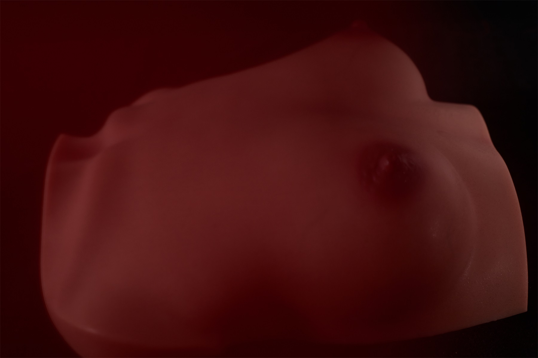 Climax丨Silicone B-61 (Black)  Breast Model