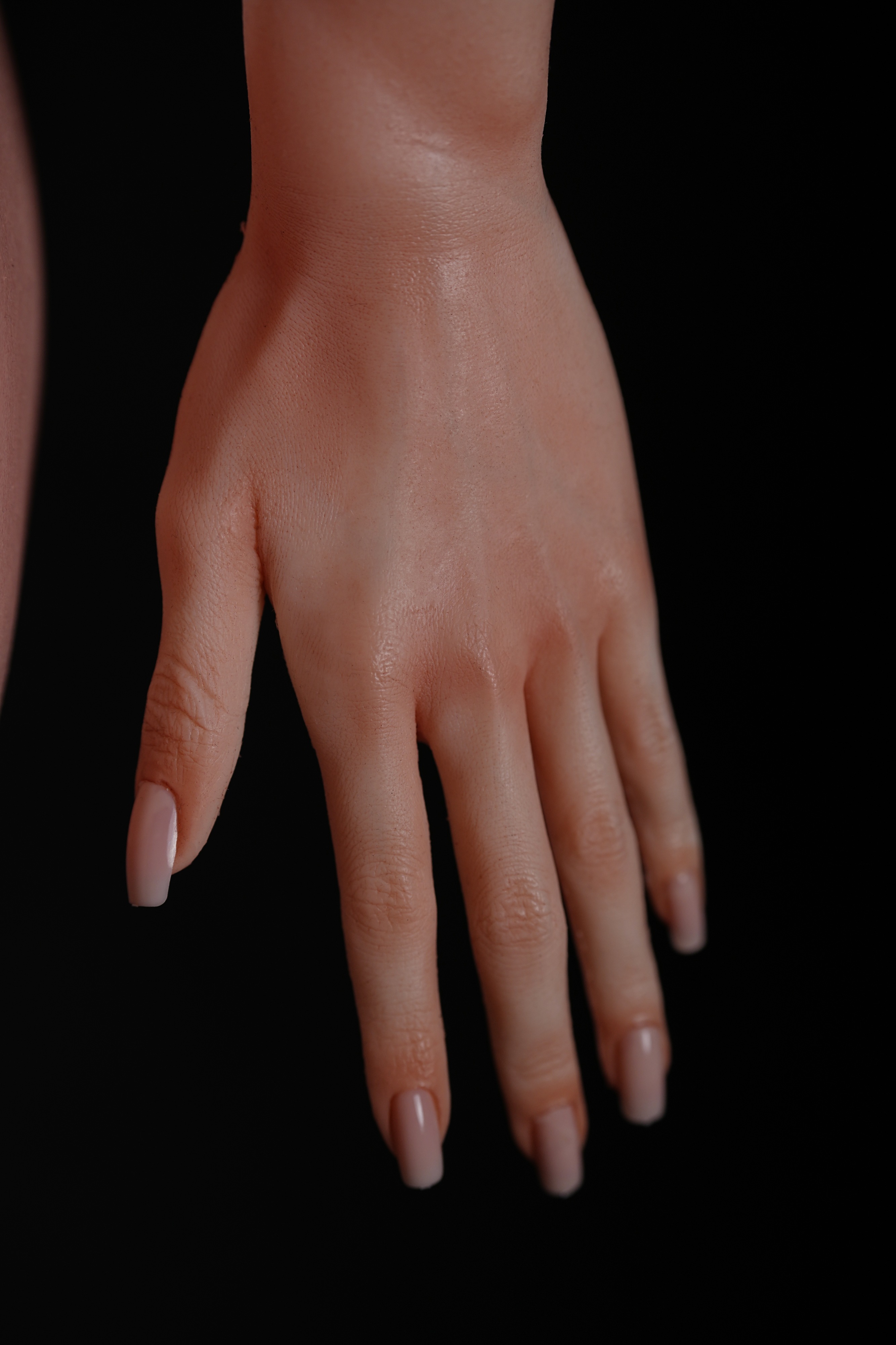 6YE | Delta - 5ft5/165cm BBW Muscular Tactical Silicone Sex Doll