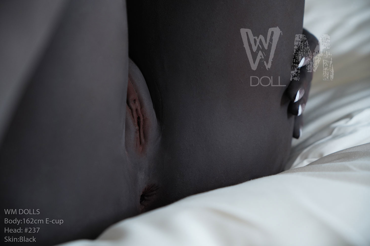 WM | Harley  5ft 4/ 162cm E Cup Sex Doll