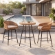 Neil Bohemian Swivel Cane Bar Set