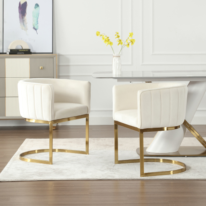 Windell Dining Chairs (Set of 2)
