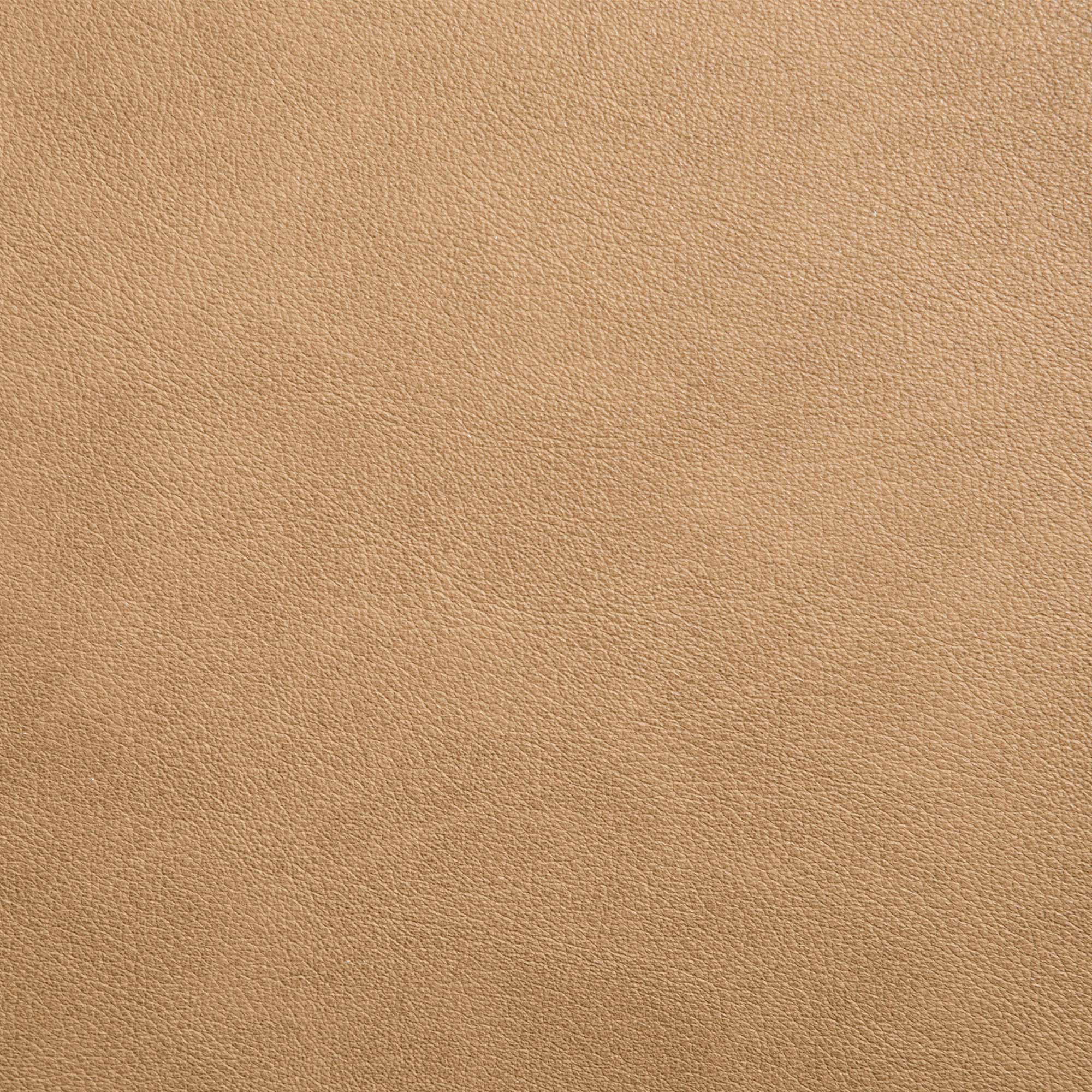 Hugo Dining Chairs (Set of 2)