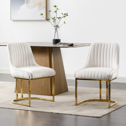 Spencer Velvet Dining Chairs (Set of 2)
