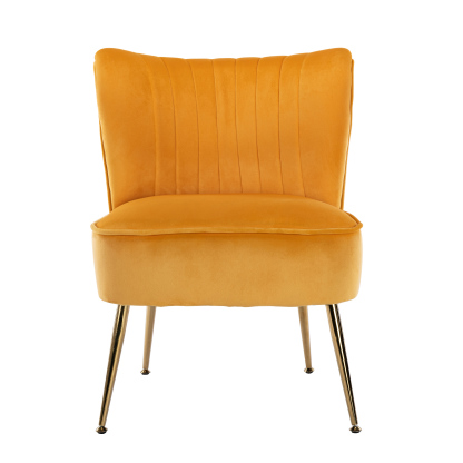Marlowe Velvet Accent Chair  (Set of 2)