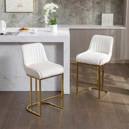 Spencer Counter & Bar Stools (Set of 2)