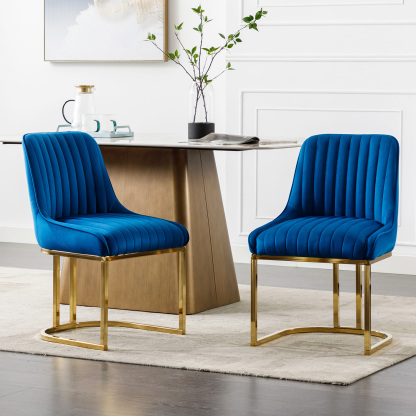 Spencer Velvet Dining Chairs (Set of 2)