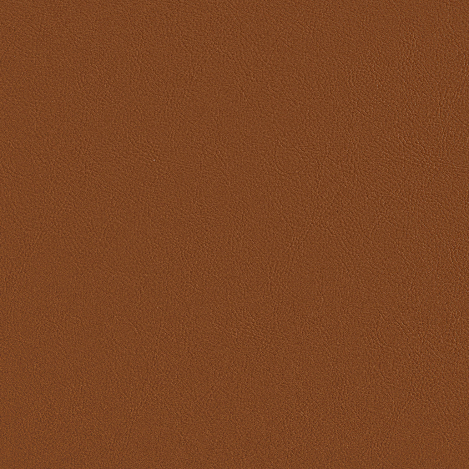 Leen Sofa Swatches