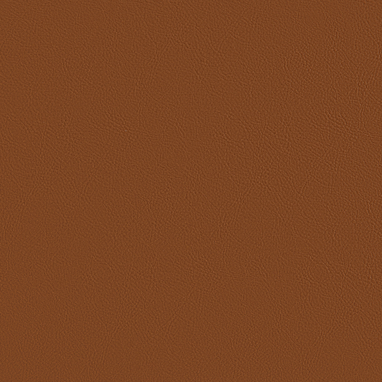 Leen Sofa Swatches