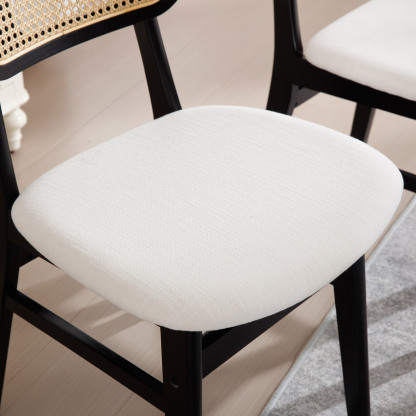 Eric Dining Chairs (Set of 2)