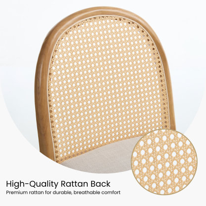 Salem Mid Century Modern Rattan Dining Chairs (Set of 2)