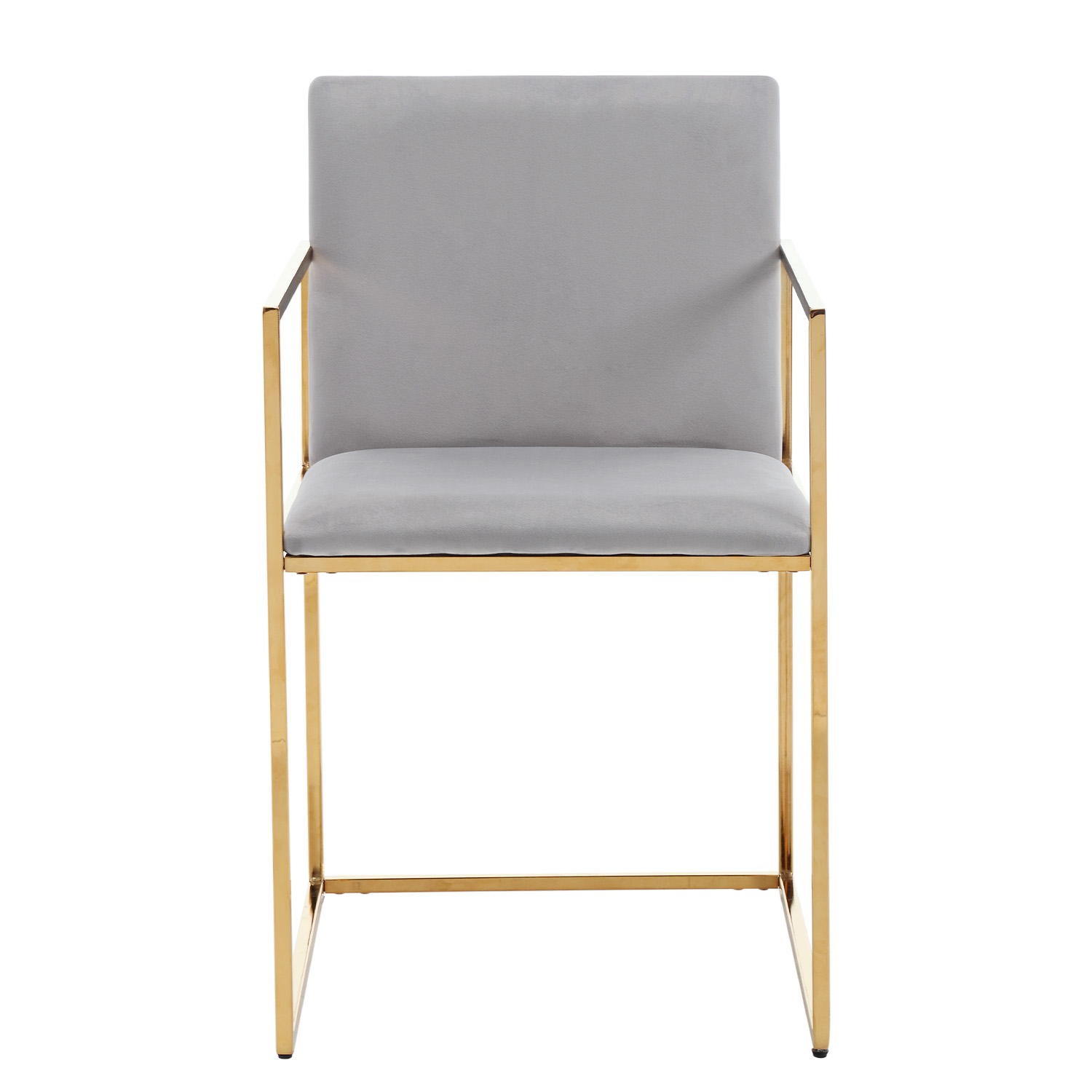 Fabio Arm Dining Chair (Set of 2)
