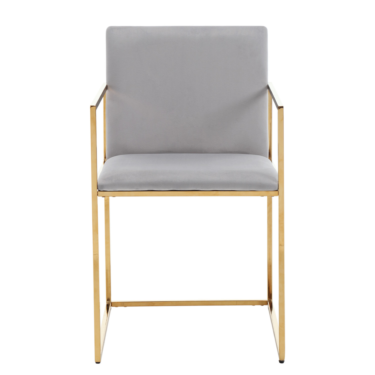 Fabio Arm Dining Chair (Set of 2)