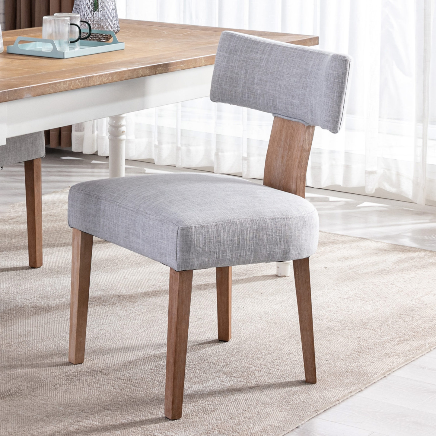 Payson Dining Chairs (Set of 2)