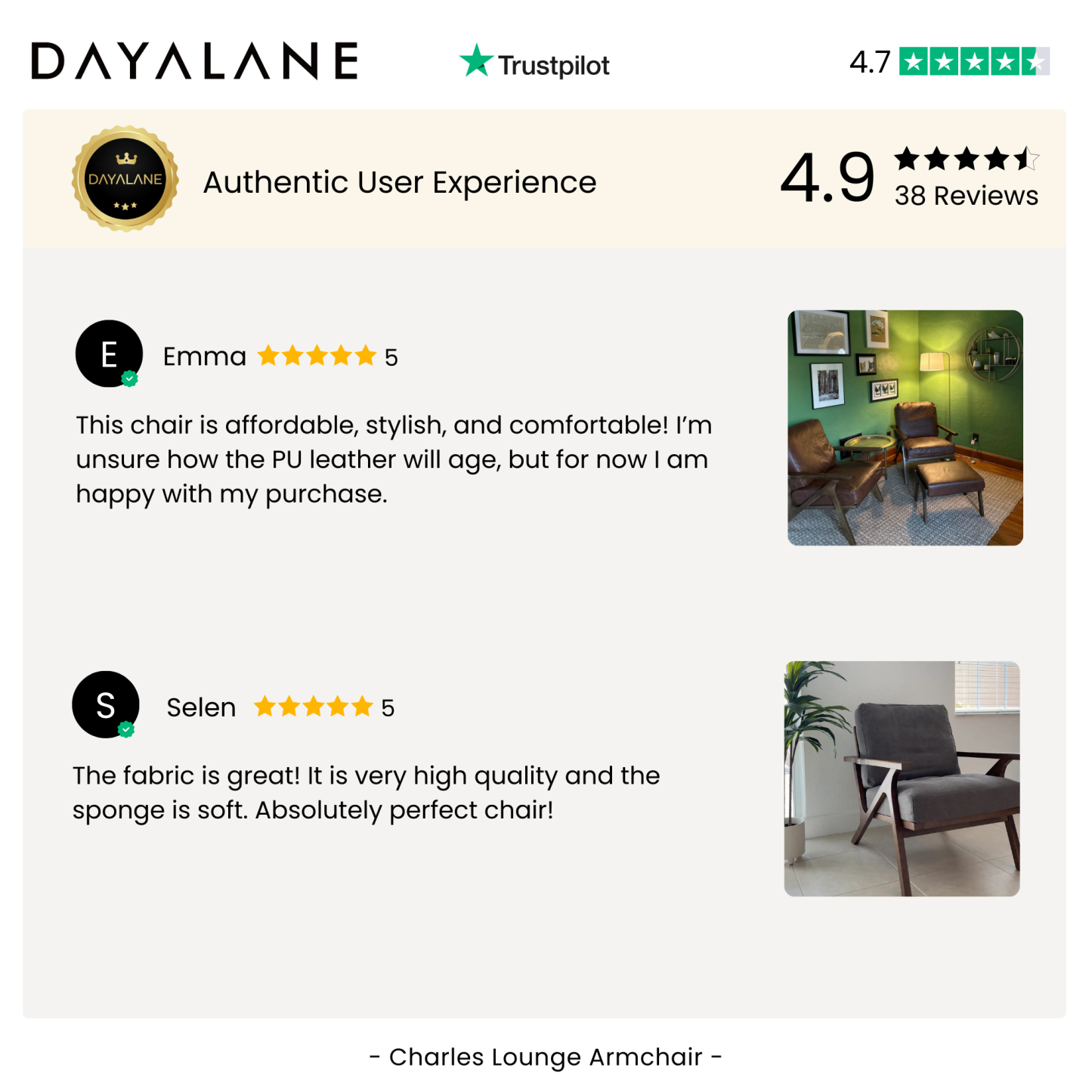 Charles Lounge Armchair