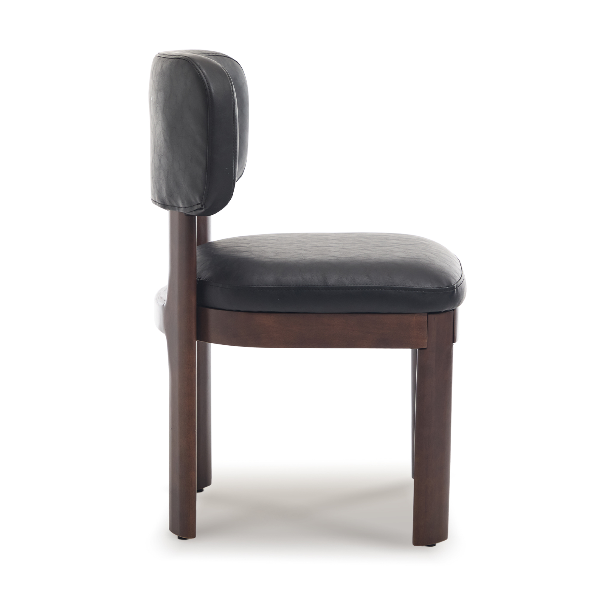 Maira Dining Chairs (Set of 2)