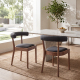 Taylor Modern Rustic Dining Chairs (Set of 2)