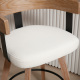 Casey Counter Stools (Set of 2)