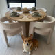 A corgi dog sitting by a round table with four white dove luxury dining chairs.
