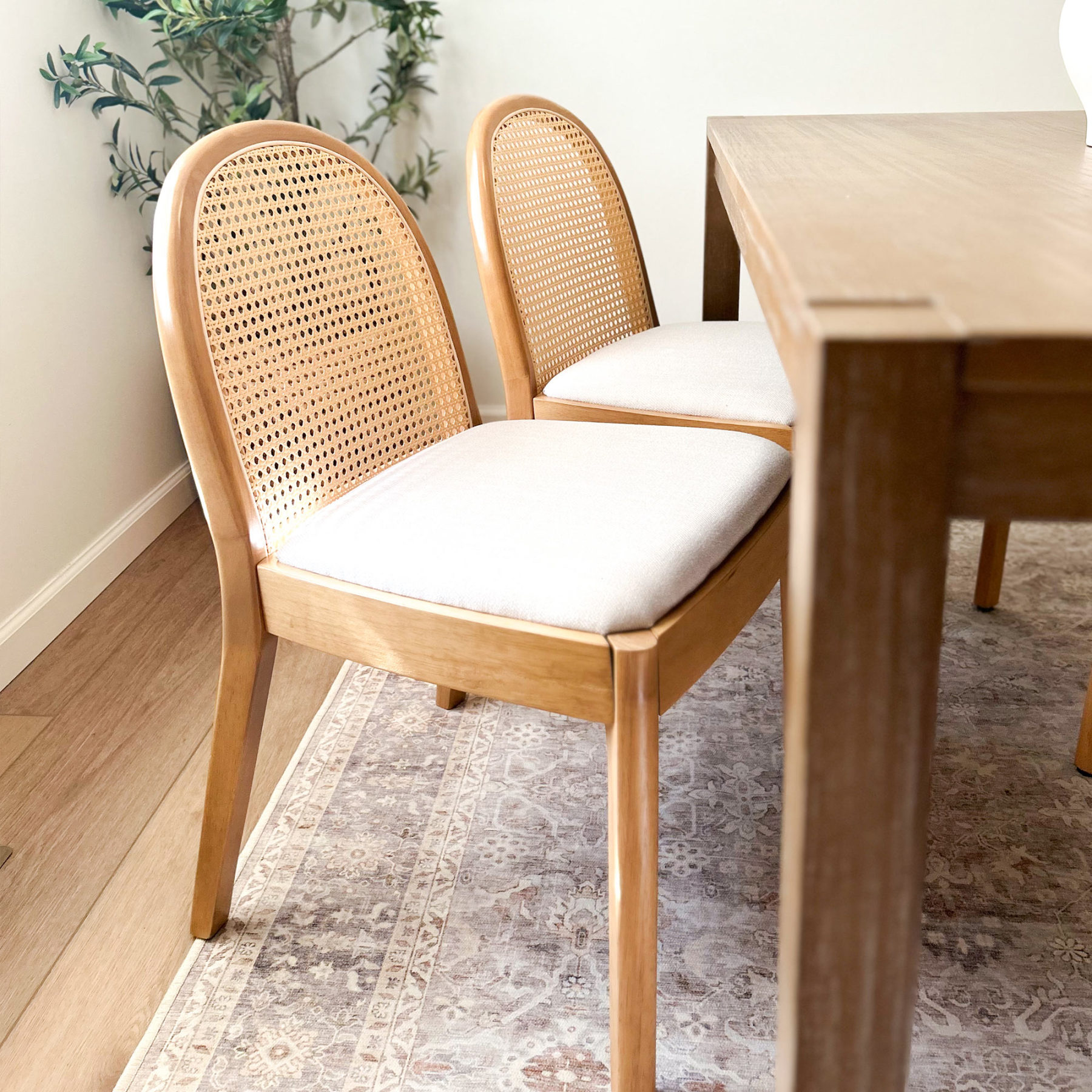 Salem Rattan Dining Chairs (Set of 2)