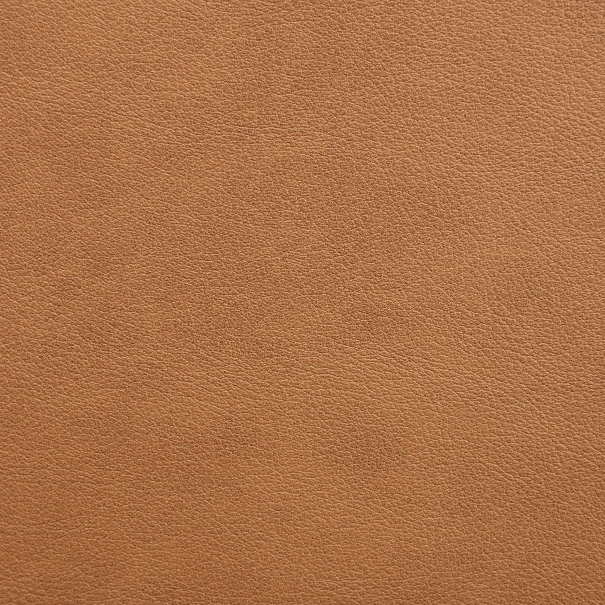 Nora Dining Chairs (Set of 2)