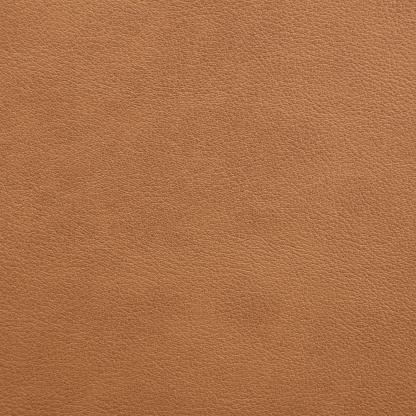 Nora Dining Chairs (Set of 2) 