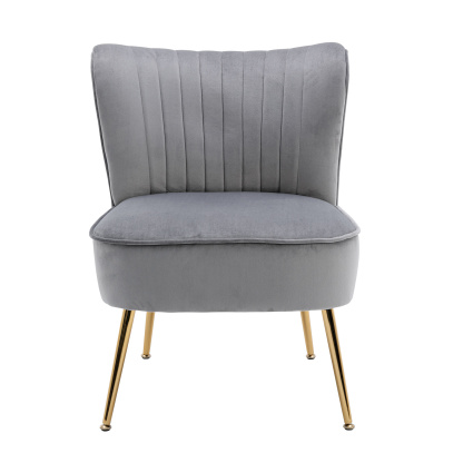 Marlowe Velvet Accent Chair  (Set of 2)