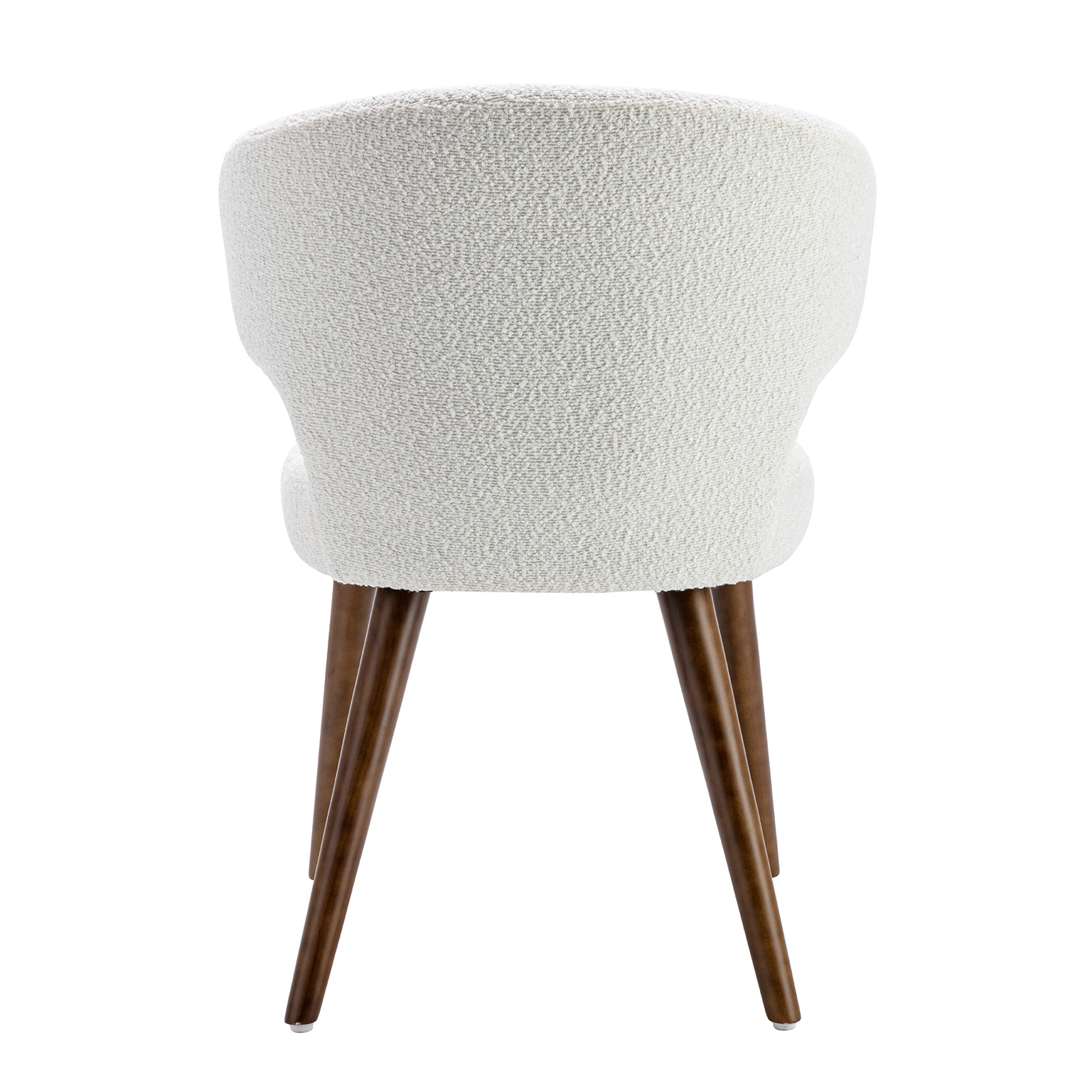 Modern Dining Chair (Set of 2)