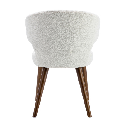 Modern Dining Chair (Set of 2)