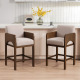Hugo Counter Stools (Set of 2)
