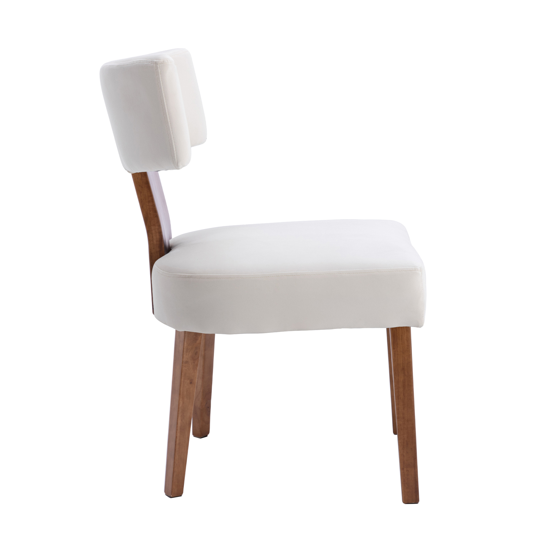 Payson Dining Chairs (Set of 2)