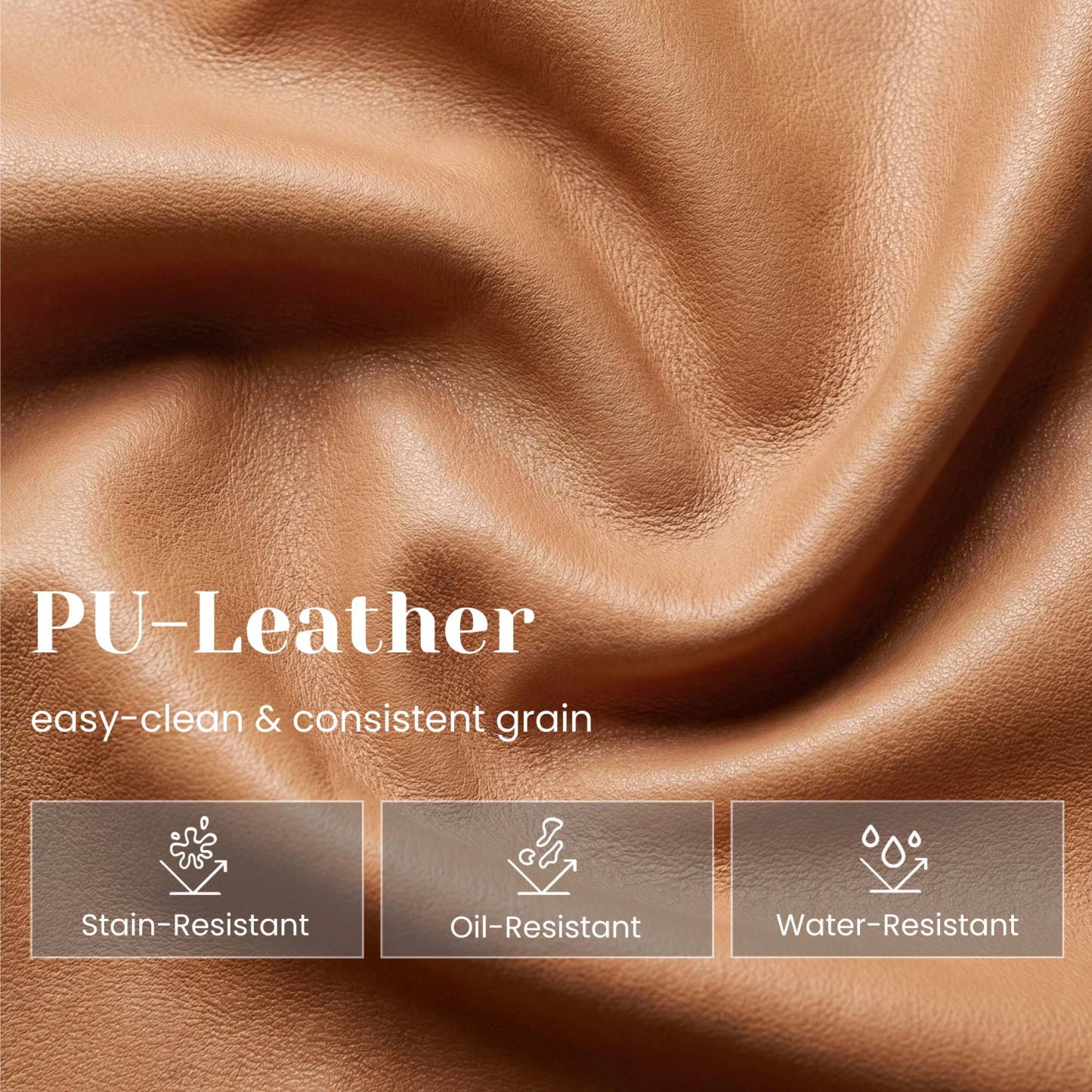 Hugo Modern Transitional Dining Chairs (Set of 2)