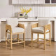 Hugo Counter Stools (Set of 2)