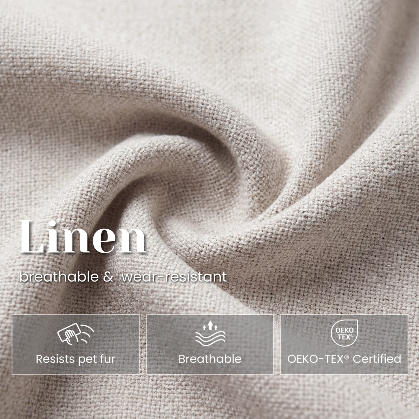 Hugo Modern Transitional Dining Chairs (Set of 2)