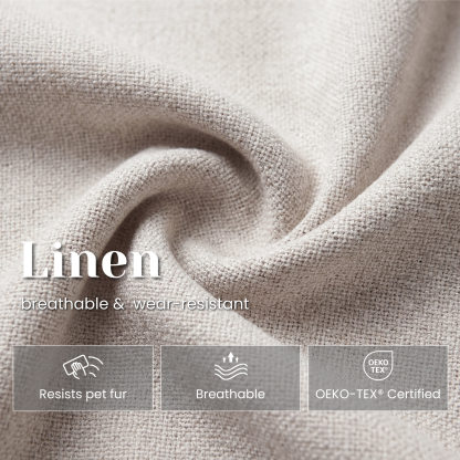 Hugo Modern Transitional Dining Chairs (Set of 2)