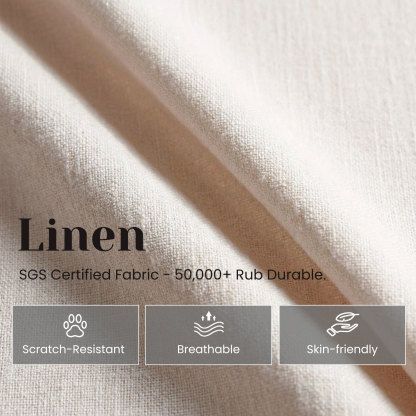 Hugo Modern Transitional Dining Chairs (Set of 2)