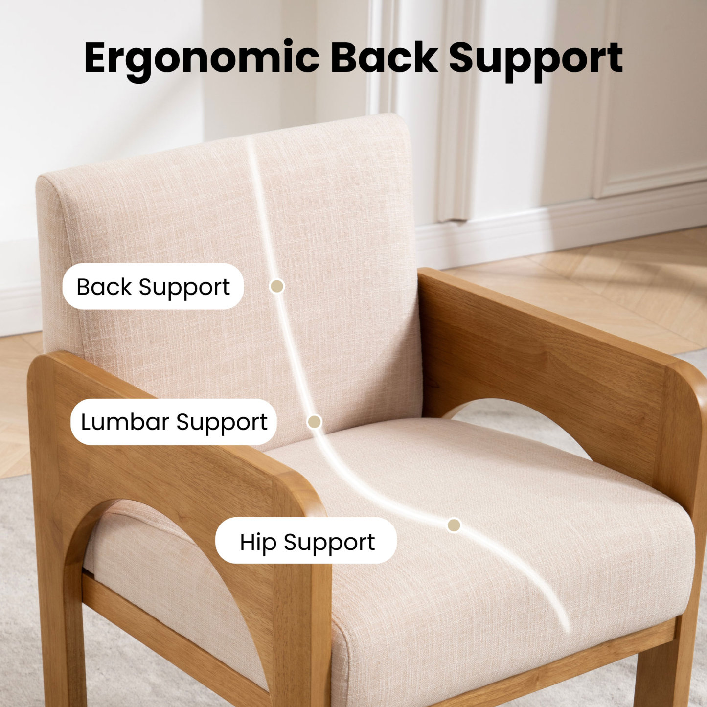 Hugo Modern Transitional Dining Chairs (Set of 2)