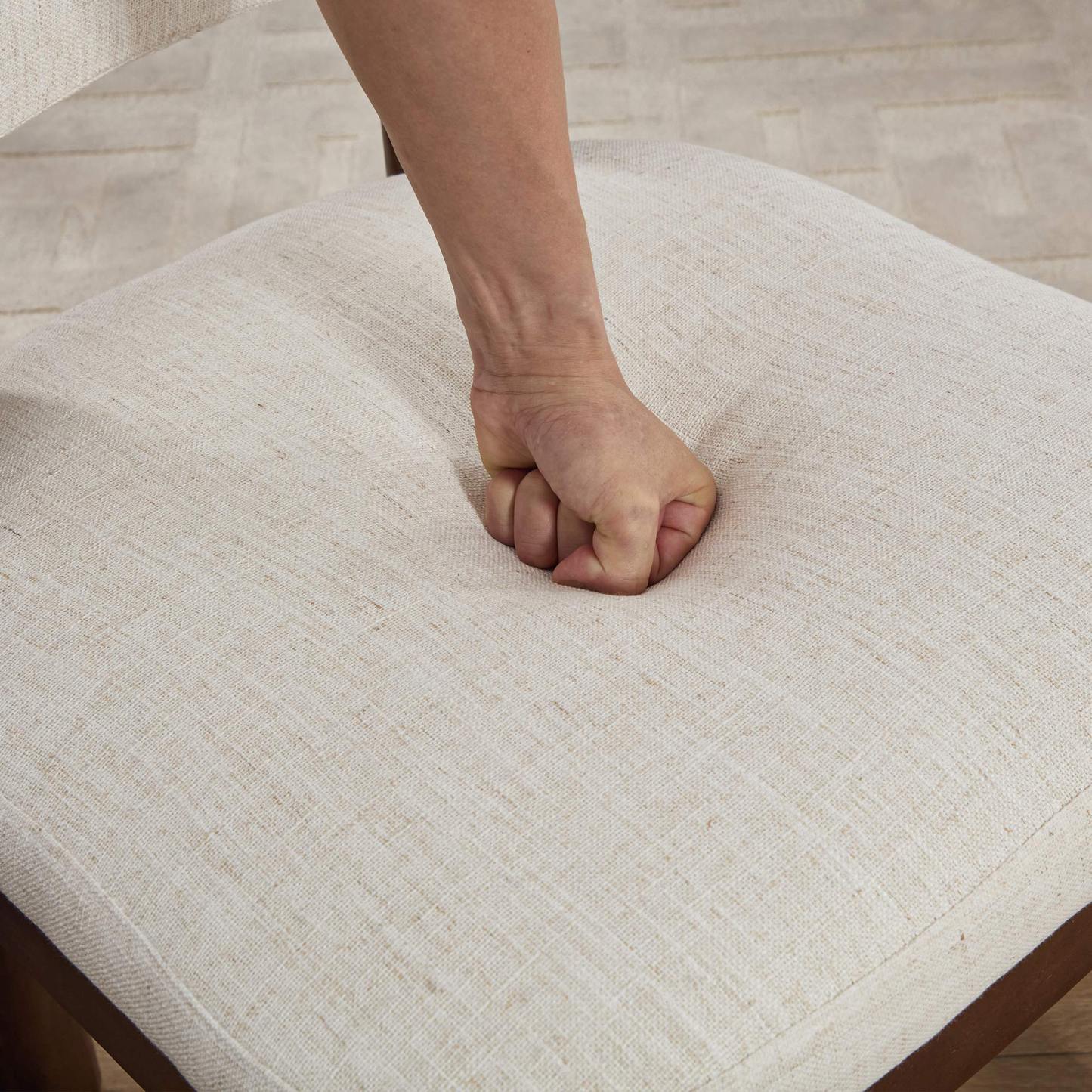 Maira Dining Chairs (Set of 2)