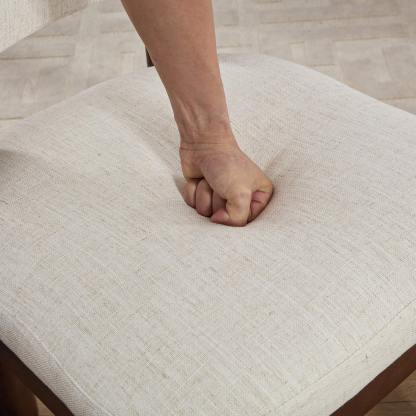 Maira Dining Chairs (Set of 2)