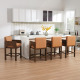 Hugo Counter Stools (Set of 2)