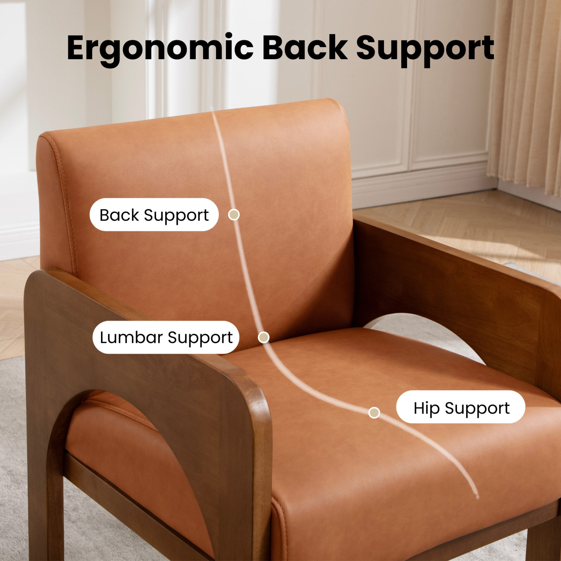 Hugo Modern Transitional Dining Chairs (Set of 2)