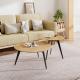 Nicole Round Coffee Table Set of 2