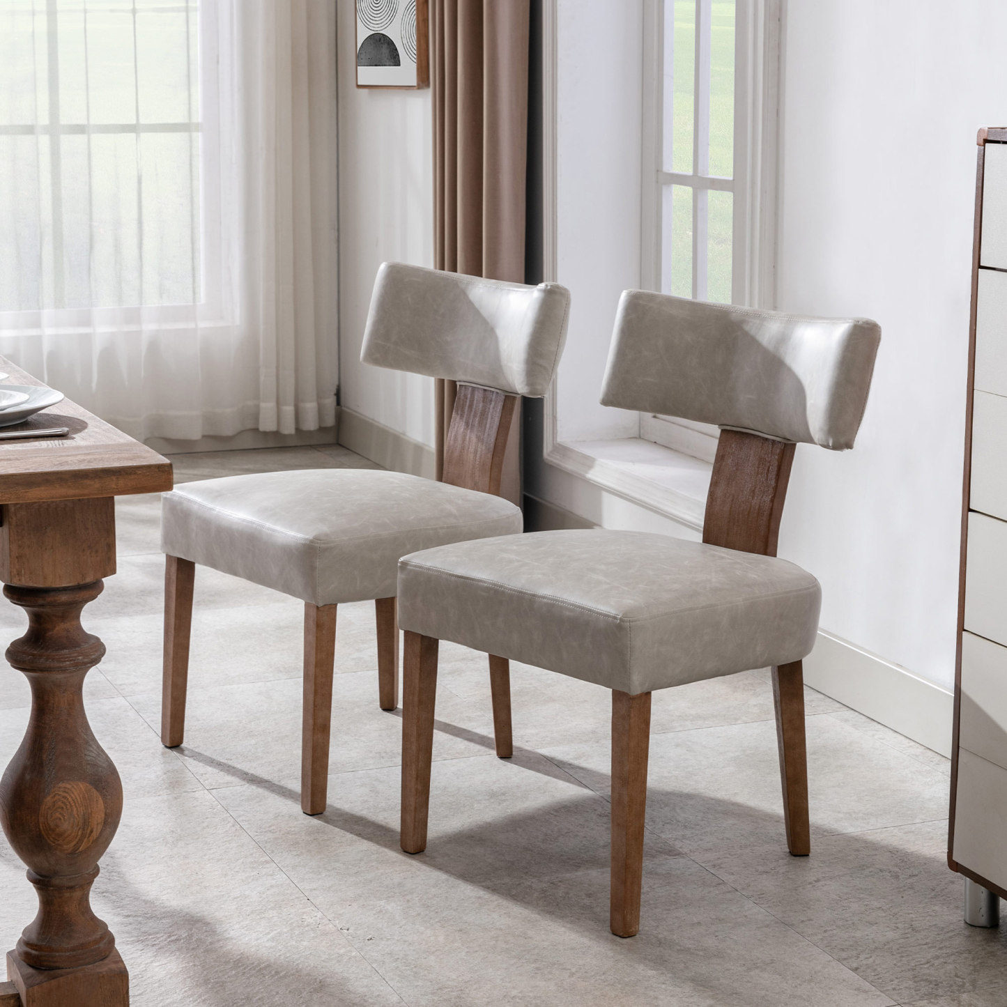 Payson Dining Chairs (Set of 2)